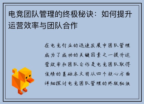 电竞团队管理的终极秘诀：如何提升运营效率与团队合作
